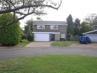 Picture 24